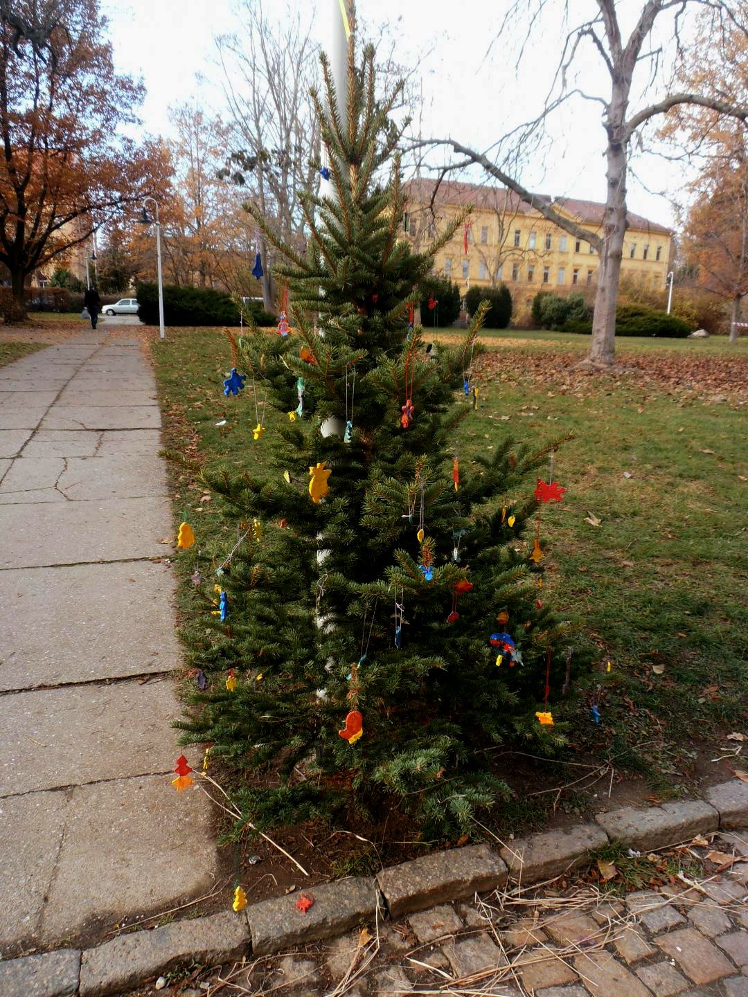 Weihnachtsbaum